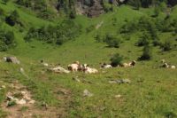 2015-07-01_1Pano-bei-Lacke (171).JPG